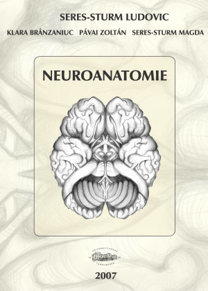 Neuroanatomie 