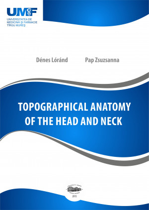TOPOGRAPHICAL ANATOMY OF THE HEAD AND NECK