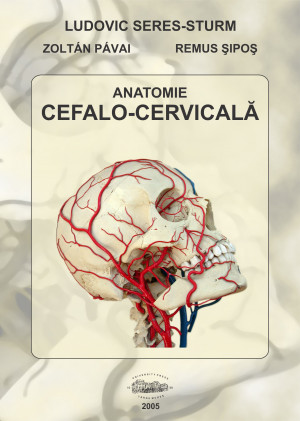 Anatomie cefalo-cervicală