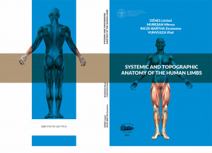 SYSTEMIC AND TOPOGRAPHIC ANATOMY OF THE HUMAN LIMBS