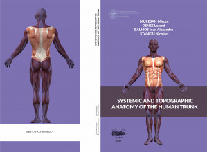 SYSTEMIC AND TOPOGRAPHIC ANATOMY OF THE HUMAN TRUNK